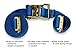 DC Cargo Mall E Track Ratchet Straps Cargo Tie-Downs, (Pack of 2) 2 x 20 Heavy Duty Blue Tie-Down Rachet Straps, Strong Ratchet Strap, E Track Spring Fittings, Tie Down Motorcycle