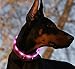 BSEEN Led Dog Collar USB Rechargeable Glowing Pet Safety Collars Water Resistant Light up Cut to resize to fit 11