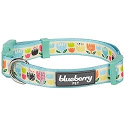 Blueberry Pet Essentials 8 Patterns Personalized