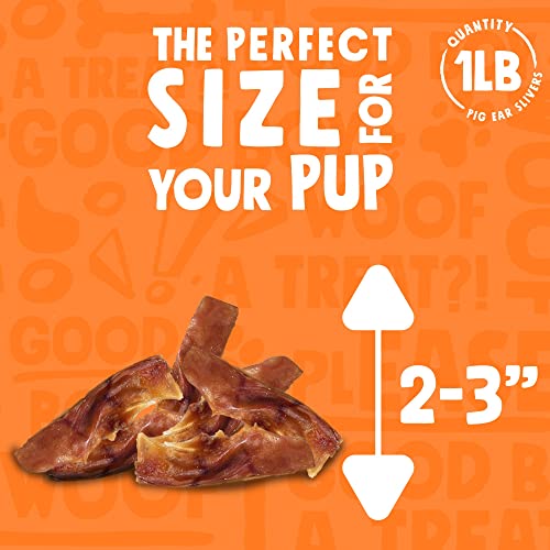 JollyBarks Pig Ears for Puppies (1lb) Premium Natural Single Ingredient
