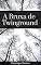 Livro A Bruxa de Twinground