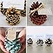 Supla 30 Pcs Assorted Natural Pine Cones Frosted Gold Red Pine Cones Ornaments Dried Real Preserved Pine Cones 2