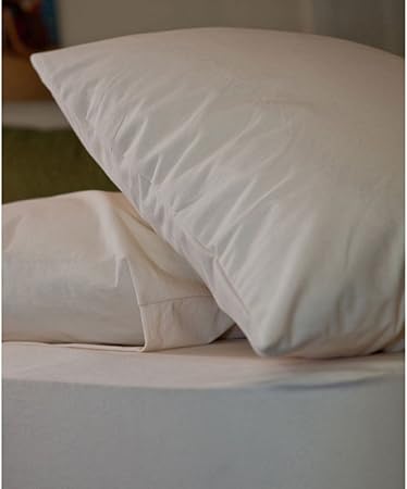 Amazon Com Gotcha Covered Standard Pillow Protectors 44 Organic