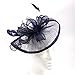 FeiYu Crafts Penny Mesh Hat Fascinator with Mesh Ribbons and Navy Feathers