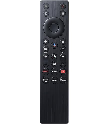Amazon.com: NTQinParts Voice TV Remote Control Controller