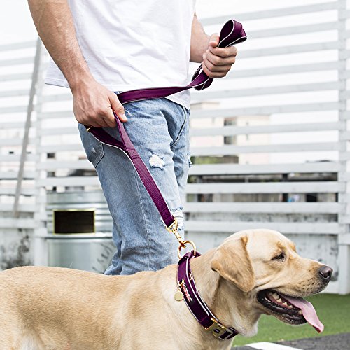 DOGNESS Classic Double Handle Dog Leash, Dual Handle for Traffic Control, Heavy Duty Soft Padded Reflective Nylon, for Walking Training Small Medium Large Dogs, Matching Collar Harness Sold Separately - Thumbnail 7