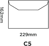 Blake Purely Everyday C5 162 x 229 mm 80 gsm Gummed Mailer Envelopes 500 view 2
