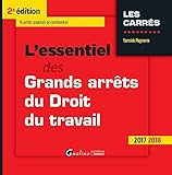 L'ESSENTIEL DES GRANDS ARRETS DU DROIT DU TRAVAIL, 2ED (CARRÉS ROUGE) (French Edition) by 