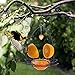 FORUP Oriole Bird Feeder, Orange Fruit Oriole Feeder