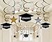 CocoHut Graduation Party Supplies Grad Hanging Decorations - Star/Mortarboards/Diplomas Ceiling Foil Swirls?30 PCS?
