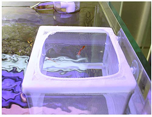 6 NGe+Aquarium+Isolation+Hatching+Incubator