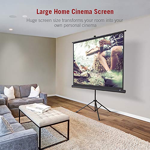 2 TaoTronics+Projector+TT+HP020+Outdoor+Projection