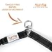 Mighty Paw Double Dog Leash - Force Absorbing Bungee Design - Two Dog Leashes Splitter - Walking Two Pets - 2 Pet Tangle Free - Pet Splitter (Lite | 30-100 lbs | No Handle, Black)