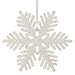 iPEGTOP 24 pcs Plastic Shinny Glitter Christmas Snowflake Ornaments Set for Craft DIY Party Home Holiday Decoration, 4 inch (White)