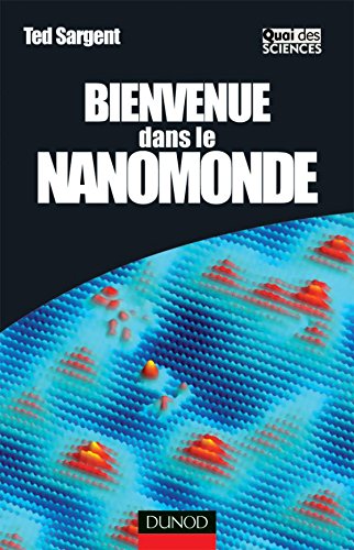 Bienvenue dans le nanomonde (French Edition)