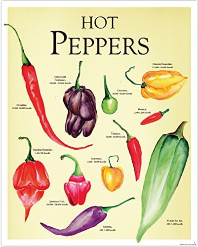 Amazon Com Hot Peppers Mini Poster Print Different Hot Peppers With Their Scoville Scores Size 12 Inches X 16 Inches Posters Prints