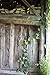 Vintage Rustic Wall Mounted Coat Rack –Authentic Barn Wood Hanger for Towels, Clothes, Hats, Bags–Antique Door & Wall Mount 5-Hook Rail (Vintage Style Wire Hook - 26