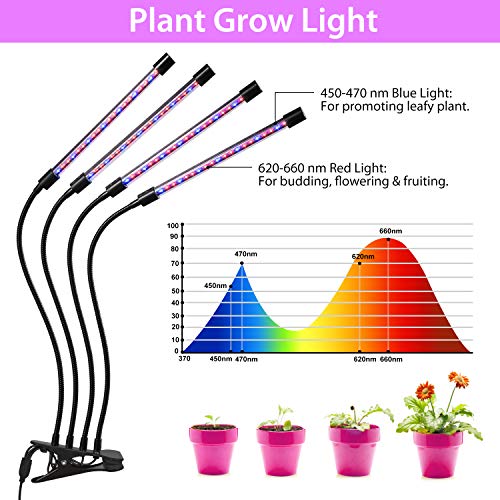 OxyLED Plant Grow Light, 36W Four Head 80 LED Plant Grow Lights for Indoor Plants with Red Blue Spectrum, Adjustable Gooseneck, 3/6/12H Timer, Clip-On Desk Growing Lamp with 5 Dimmable Levels