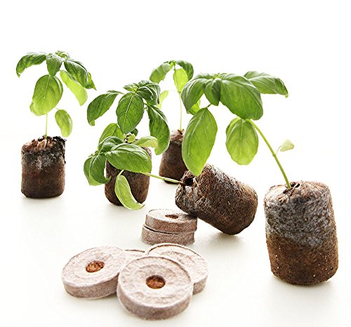 2 Culinary+Seed+Collection+Pellets+Variety