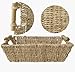 Set 2 Large Seagrass Baskets with Wooden Handles | Straw Woven Short Baskets for Fruits, Hand Towels, Snacks, CoffeeTable (Natural)