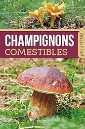 Champignons comestibles