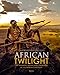 African Twilight: The Vanishing Rituals and Ceremonies of the African Continent