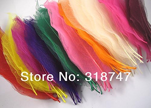 Randomly Mixed 5 Colors Natural Skeleton Leaves for DIY 2*12pcs