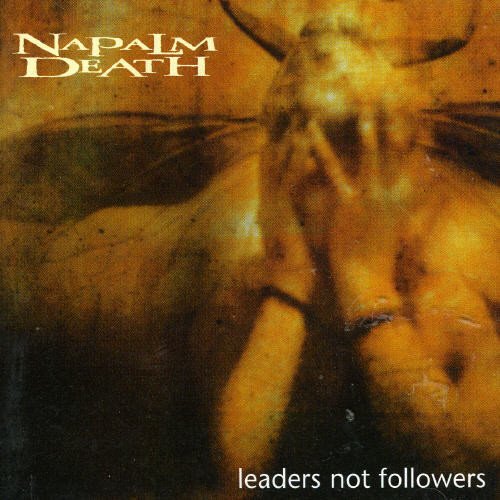 Napalm Death - Maggots in Your Coffin Lyrics - Zortam Music