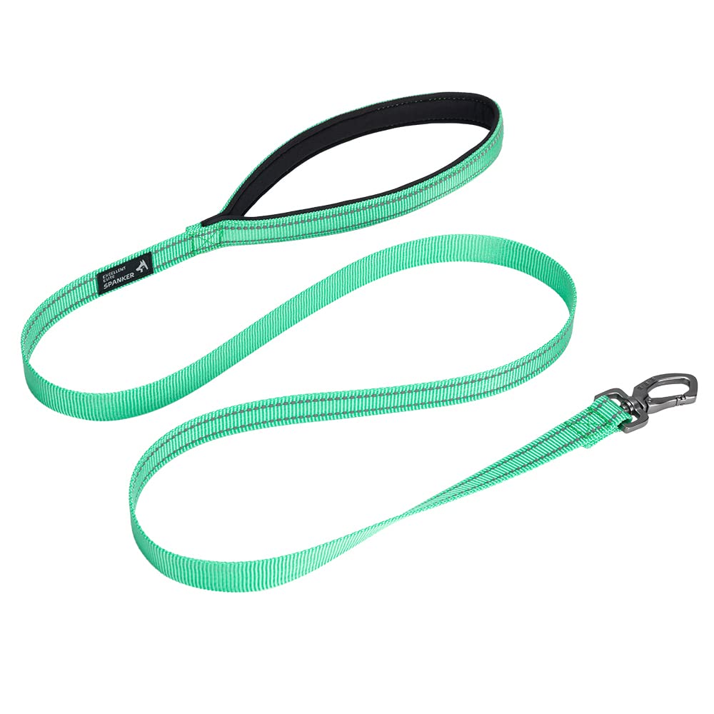 EXCELLENT ELITE SPANKER Strong Durable Reflective Dog Walking Leash Traction Rope 4 Feet Long 3/4" Wide with Comfortable Padded Handle for Small Dog(Green) — image 1