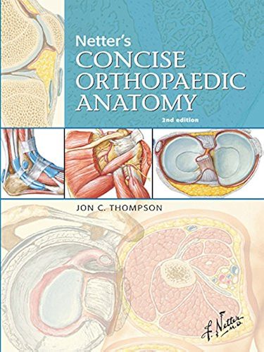Download Netter's Concise Orthopaedic Anatomy E-Book (Netter Basic Science) (English Edition) PDF