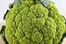 BroccoFlower 50 Seeds LOW CARB!