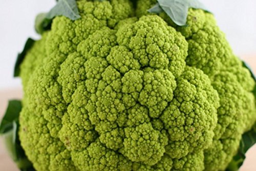 BroccoFlower 50 Seeds LOW CARB! BroccoFlower 50 Seeds LOW CARB!