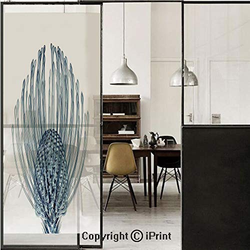 Xray Flower 3D Decorative Film Privacy Window Film No Glue,Frosted Film Decorative,X ray of Nodding Pincushion Flower Plant Illustration Nature Modern Home Decoration,for Home&Office,23.6x59Inch Teal