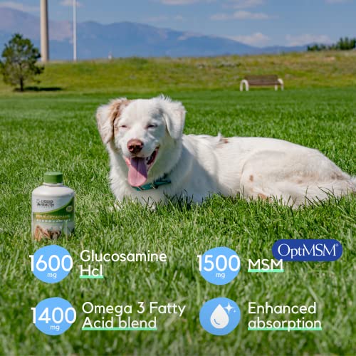 LIQUIDHEALTH 32 Oz K9 Vegetarian Liquid Glucosamine for All Dogs