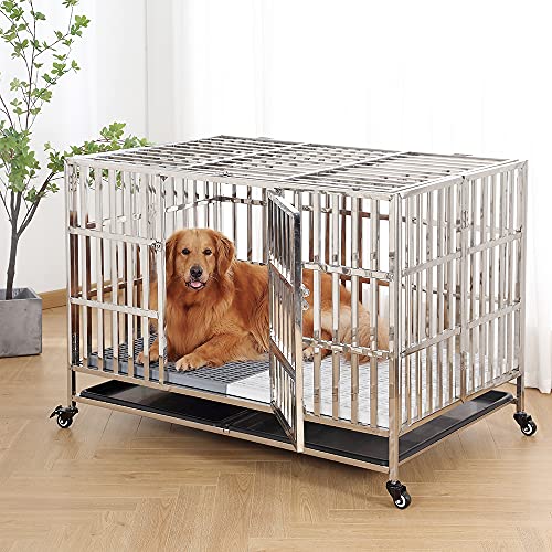 GIOPACO 48 Inch Stainless Steel Dog Crate with Tray,Double Door Pet