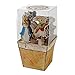 Meri Meri Peter Rabbit Party Pick Set of 24 (Cupcake Toppers)