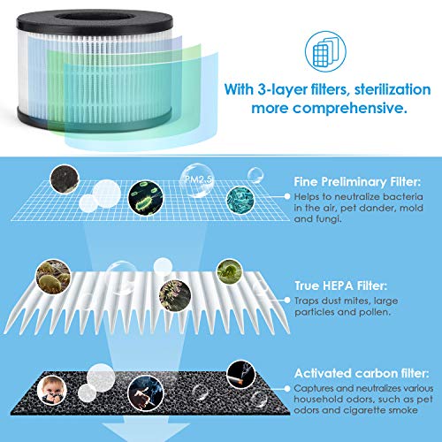 PARTU Hepa Air Purifier - Smoke Air Purifiers for Home with Fragrance Sponge - 100% Ozone Free, Lock Button, Removing 99.97% Allergies, Dust, Pollen, Pet Dander, Mold (Available for California)
