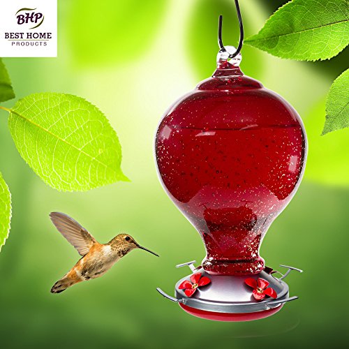 Hummingbird Feeder Hand Blown Glass Hummingbird Feeders