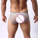 Gotd Mens Sexy Mesh Transparent Underwear Shorts Boxers Underpants Soft Briefs (L, Gray)