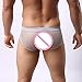 Gotd Mens Sexy Mesh Transparent Underwear Shorts Boxers Underpants Soft Briefs (L, Gray)