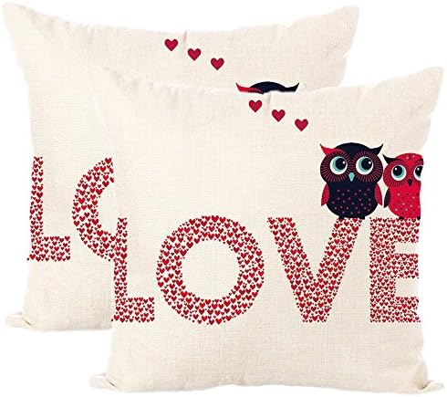 Set of 2 Jahosin Throw Pillow Covers 18 X 18 Inches ,Decorative Love Owl Cushion Case (Love Owl)