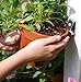Flower Pot Klips (12 Pack)