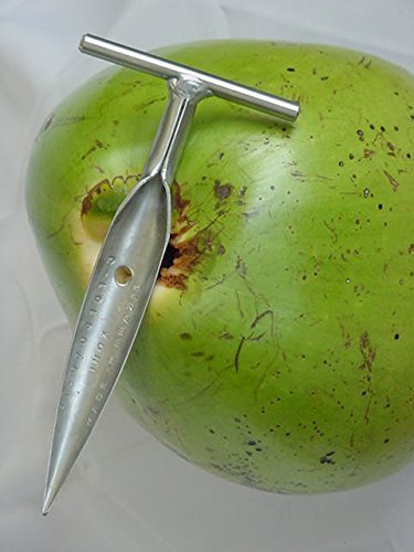 Stainless steel coconut opener by florida coconuts