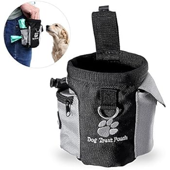 dog treat pouch petsmart