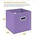 MaidMAX Storage Bins 12x12x12, for Home Organization and Storage, Toy Storage Cube, Closet Organizers and Storage, with Dual Plastic Handles, Purple, Set of 6