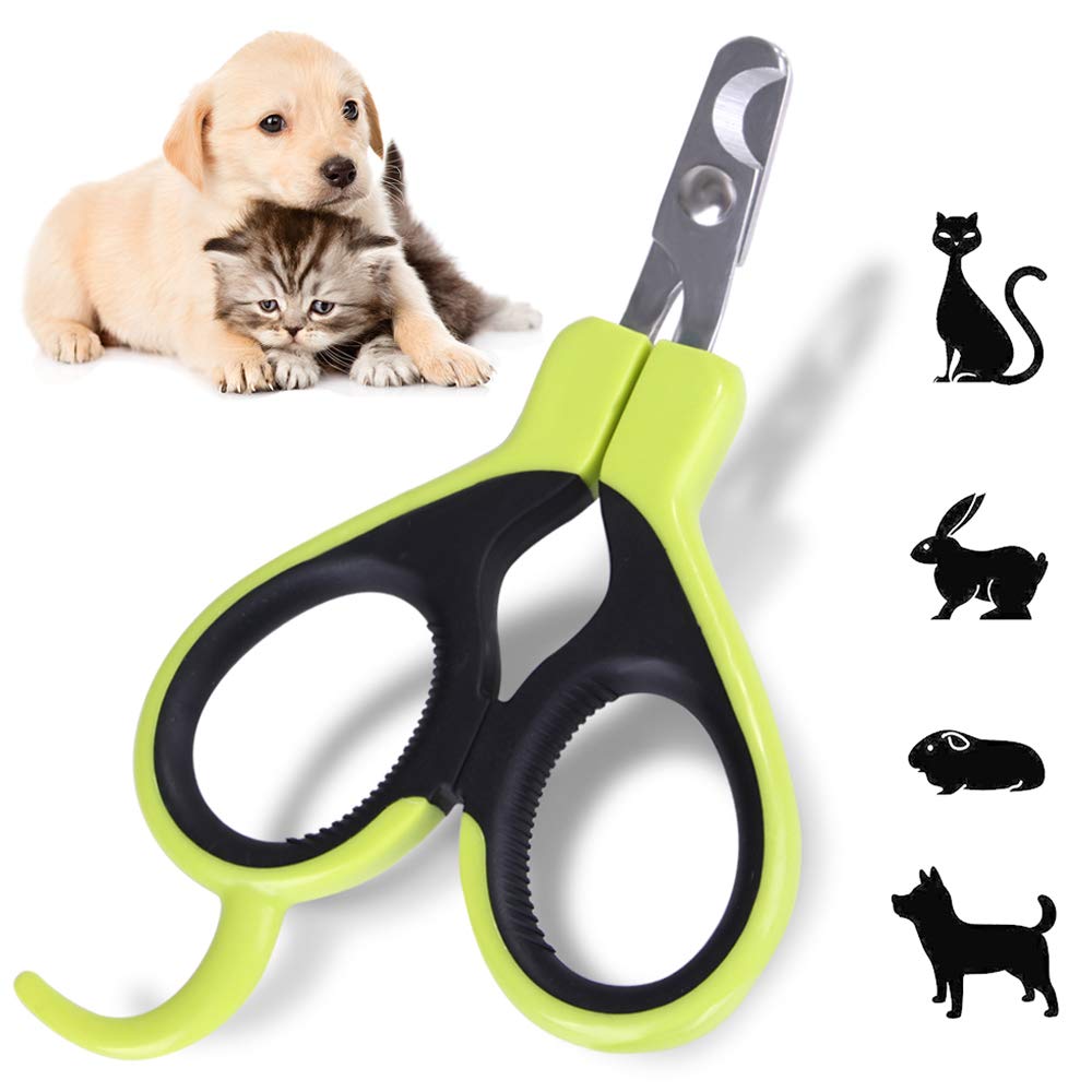 Angzhili Pet Nail Clippers - Cat Claw Clippers for Rabbit Puppy Kitten Kitty Guinea Pig Small Dog - Sharp, Safe,Anti-Scratch (Green)