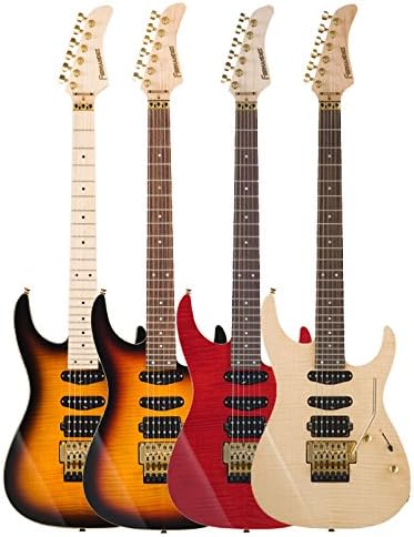 Amazon フェルナンデス Fernandes エレキギターfr Standard アウトレット特価 フェルナンデス Ts M 楽器 音響機器 楽器