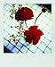 Polaroid Love Notes: 20 Different Notecards and Envelopes (Love Themed Greeting Cards, Retro Photography Gift)