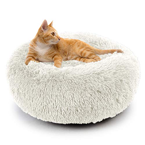 marshmallow cat bed amazon
