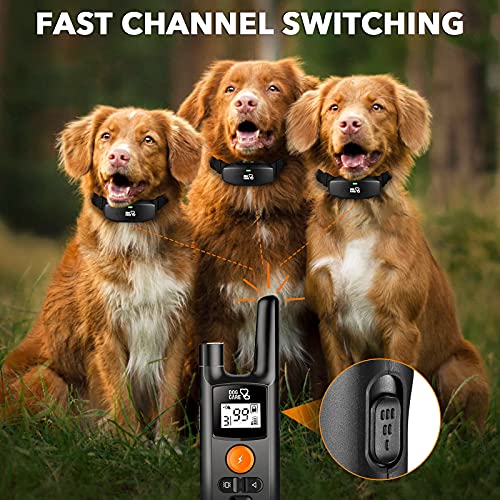 adjustable shock collar